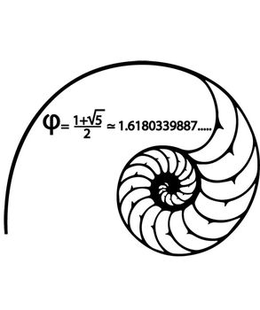 Fibonacci spiral sticker λεπτομέρια