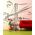 San Fransisco wall decals